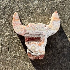 Bull Cow Skull Natural Gemstone Crazy Lace Agate Longhorn Crystal Steer Head